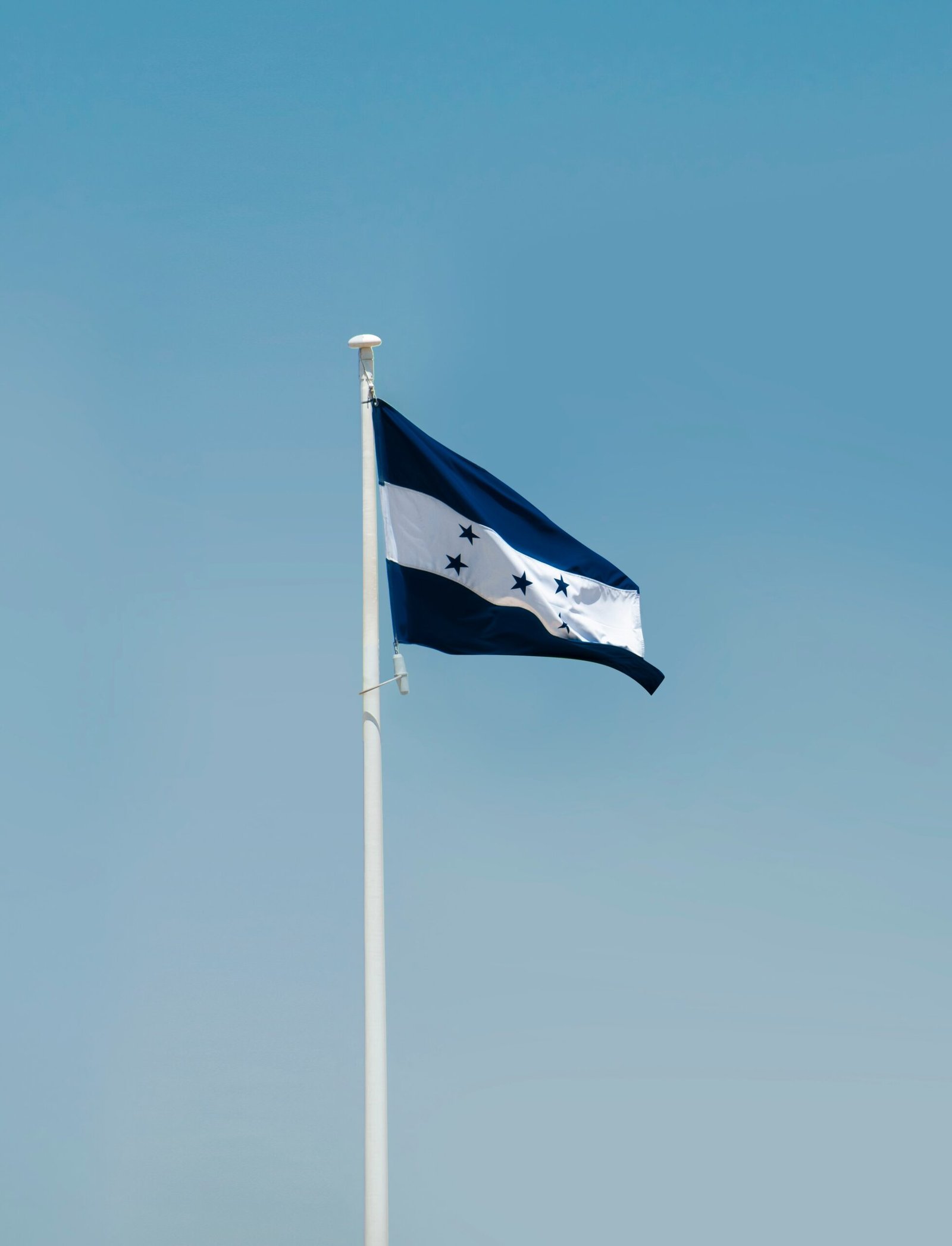 Home hond flag